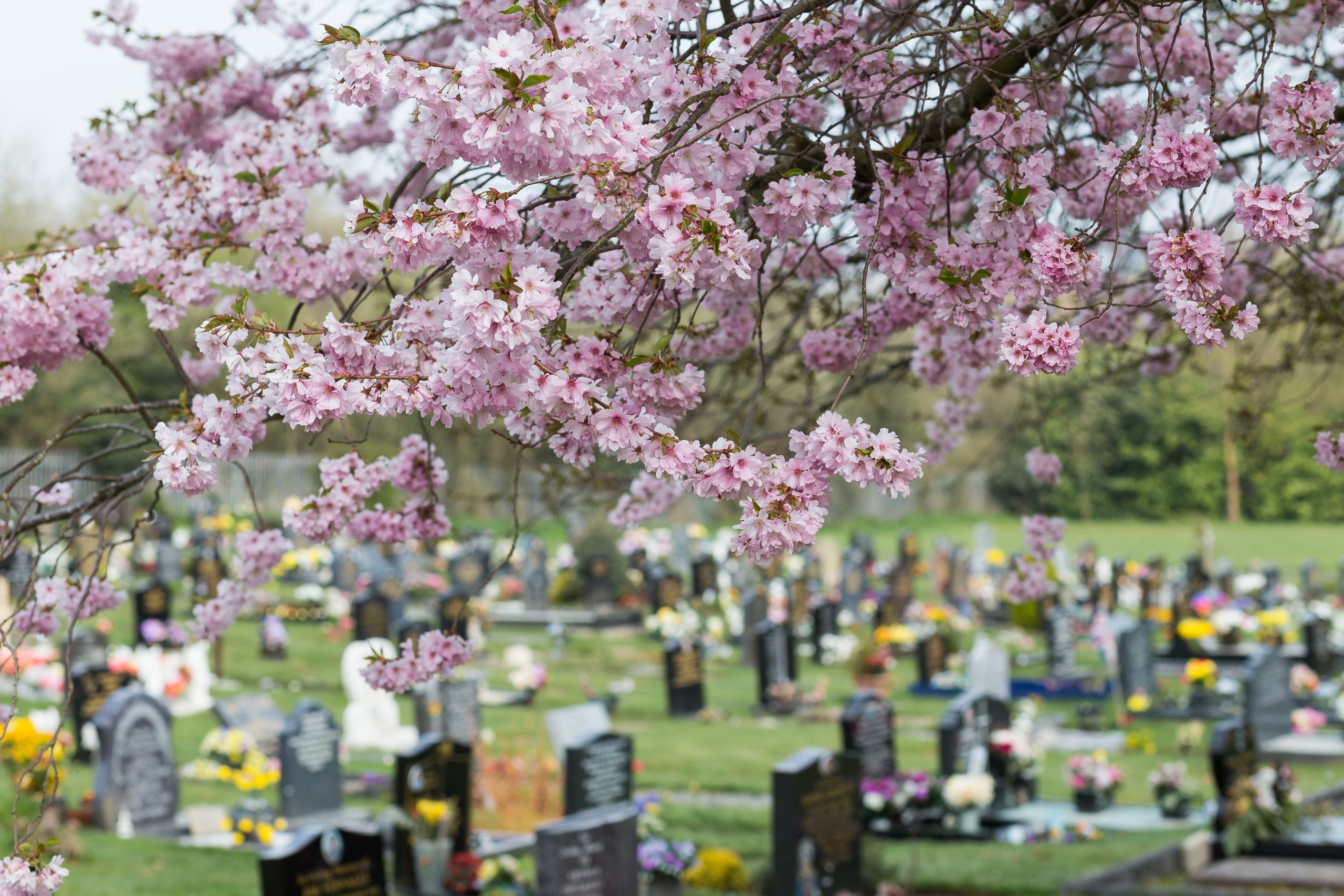 Astwood & St John's Cemeteries